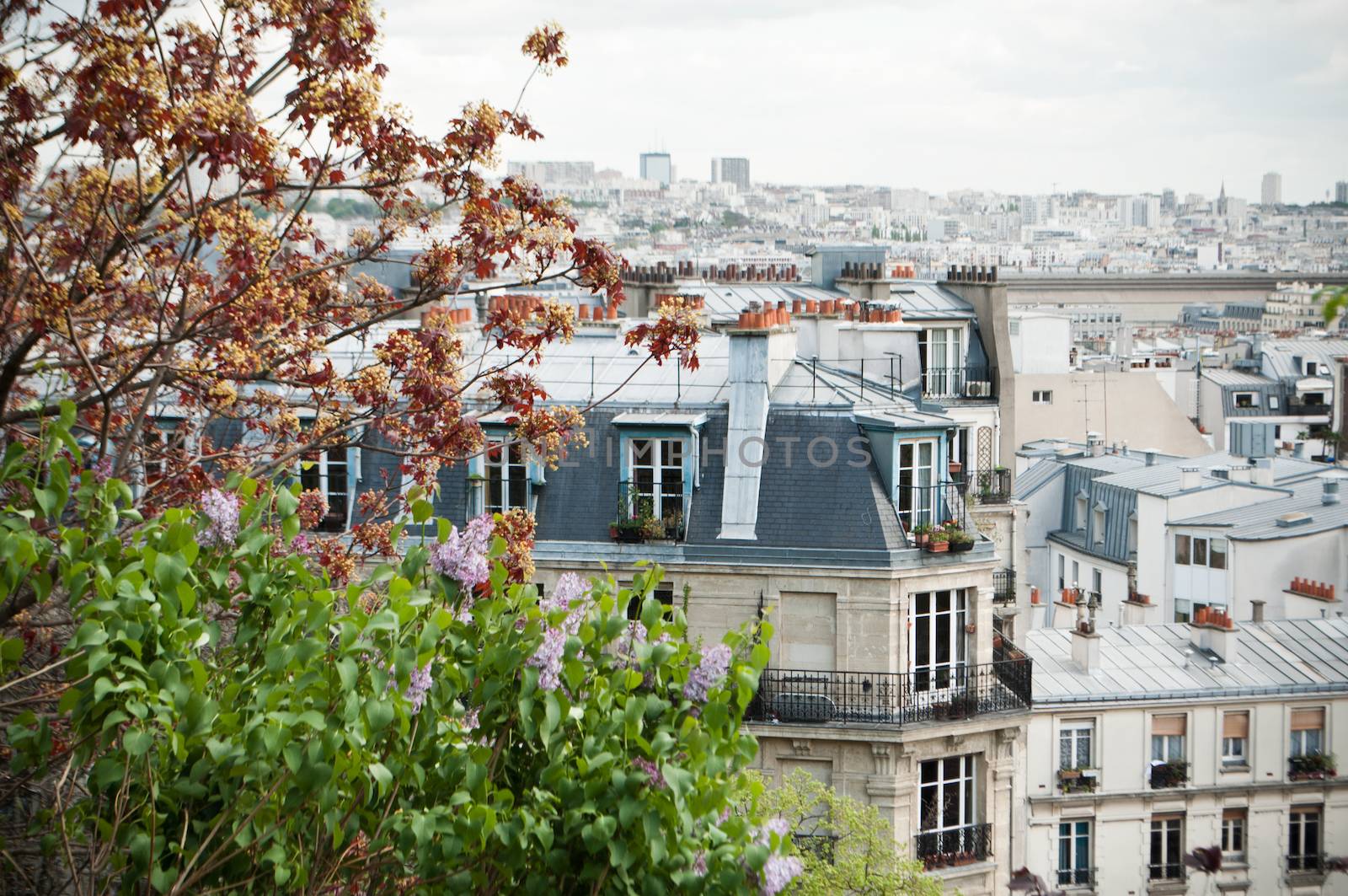 panoramic in Montmartre by NeydtStock