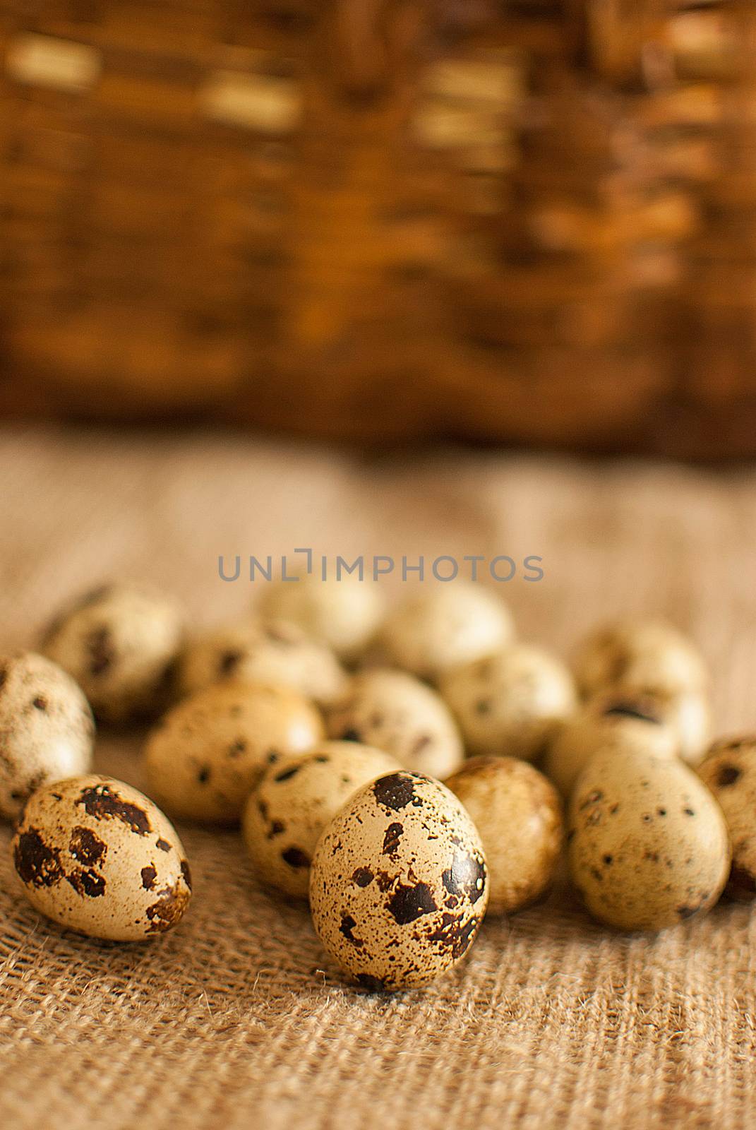 quail eggs by Dessie_bg