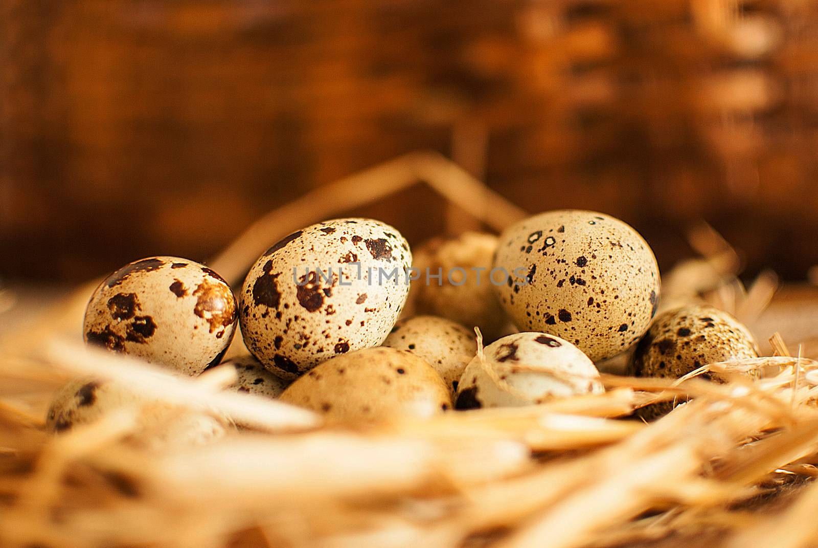 quail eggs by Dessie_bg