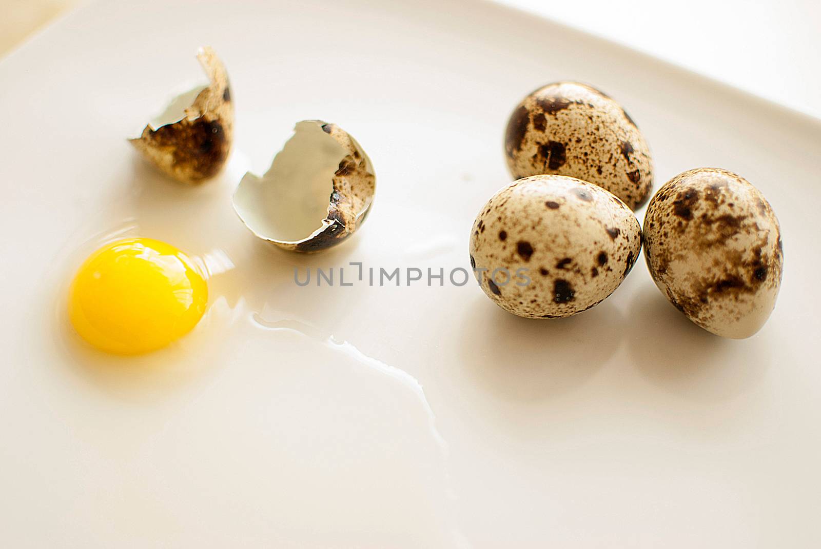 quail eggs by Dessie_bg