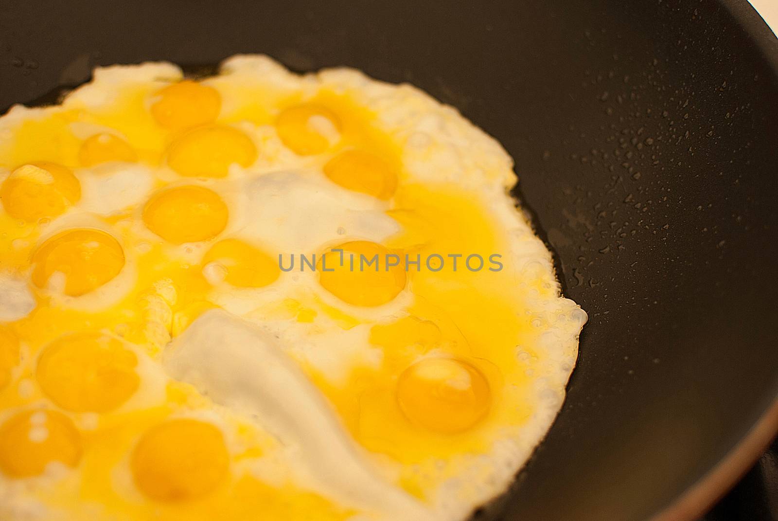 healthy fresh organic quail eggs