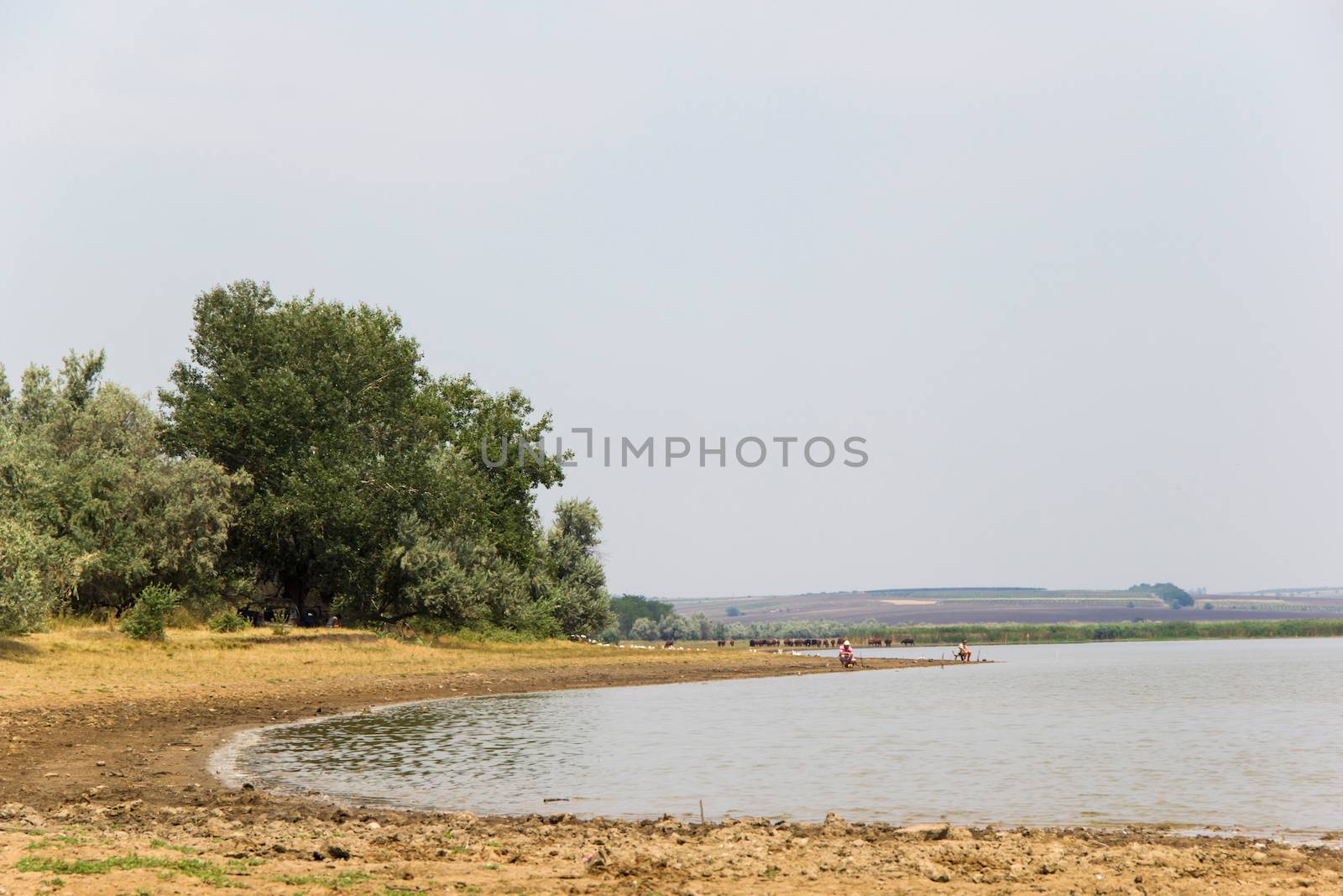 landscapes with pond or lake in summer