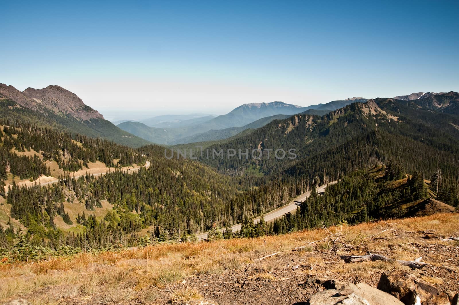 Hurricane Ridge in the Olympic Peninsula