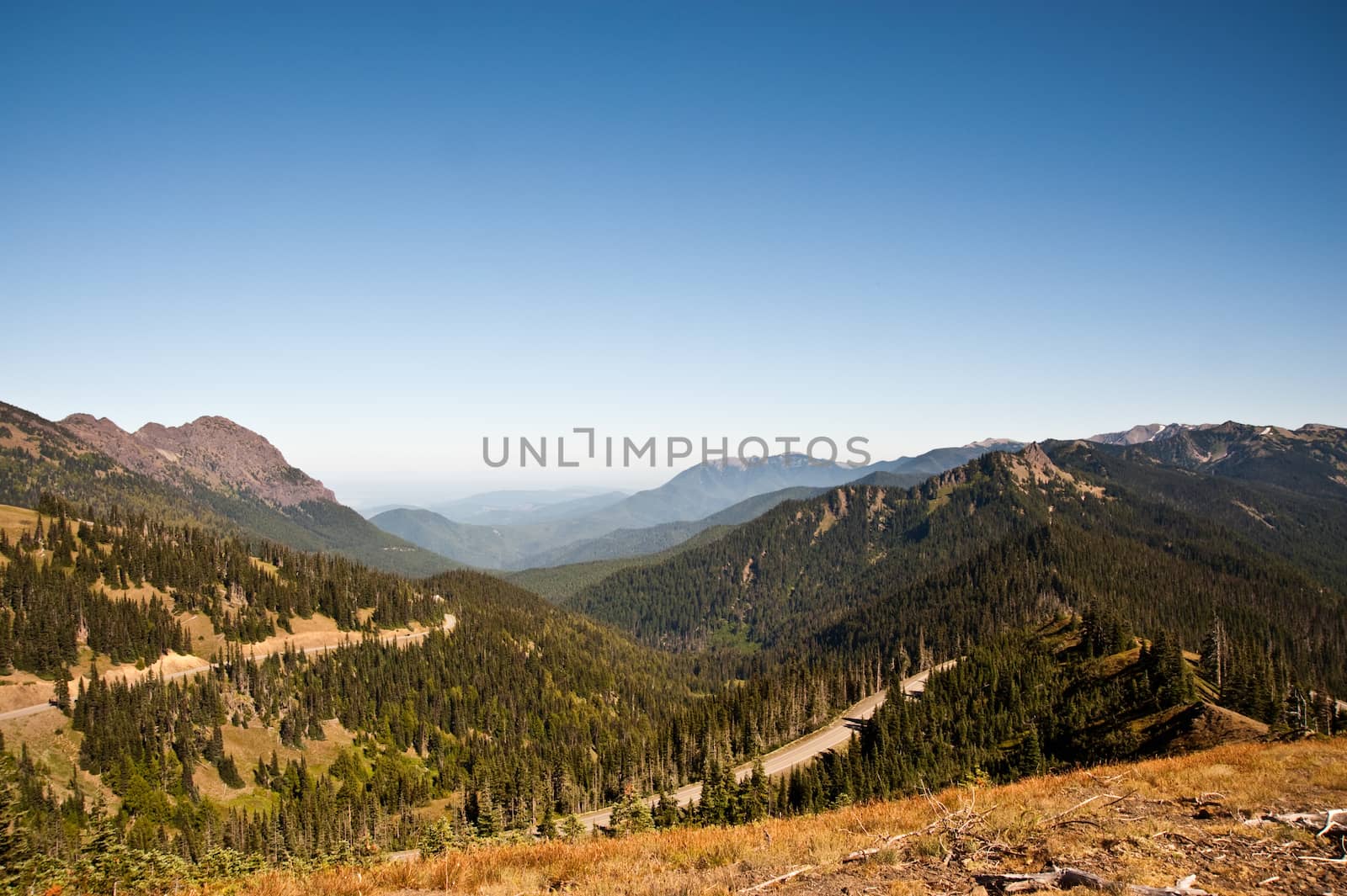 Hurricane Ridge in the Olympic Peninsula