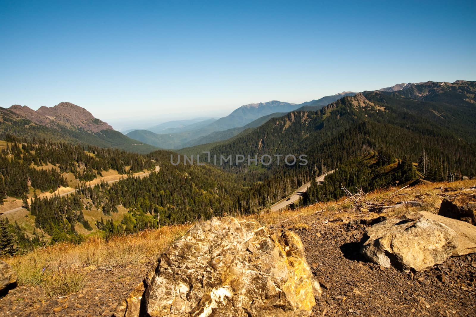 Hurricane Ridge in the Olympic Peninsula