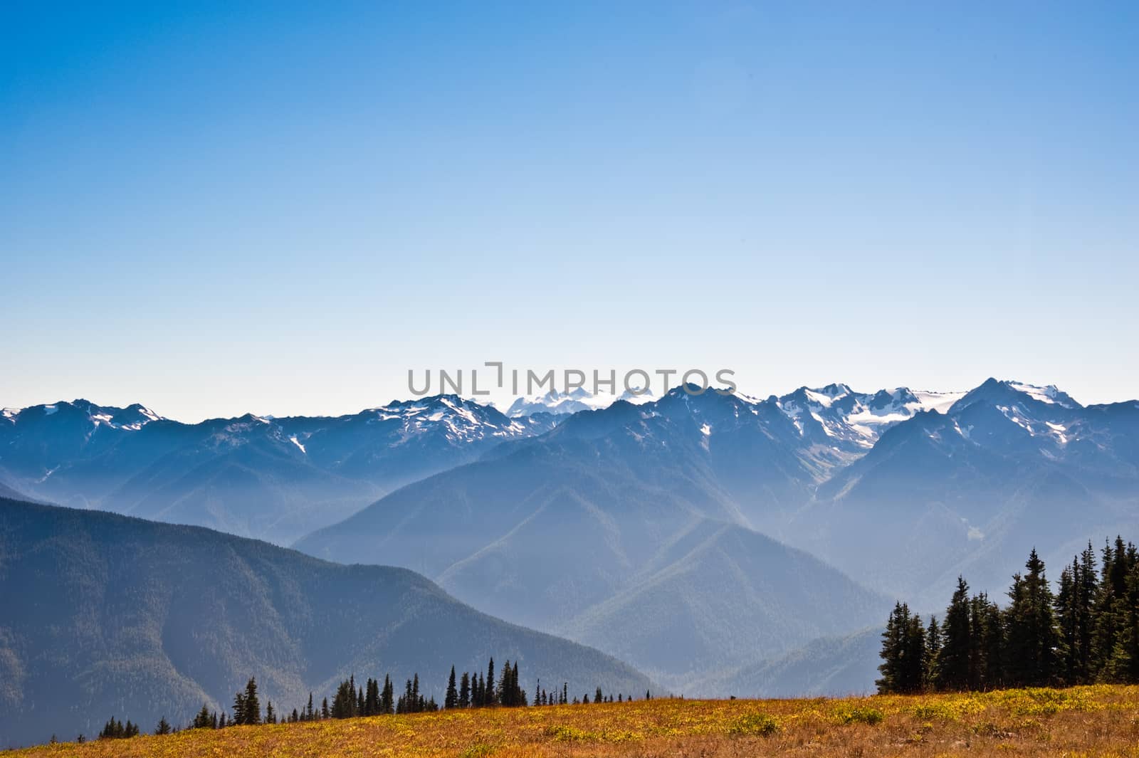 Hurricane Ridge in the Olympic Peninsula