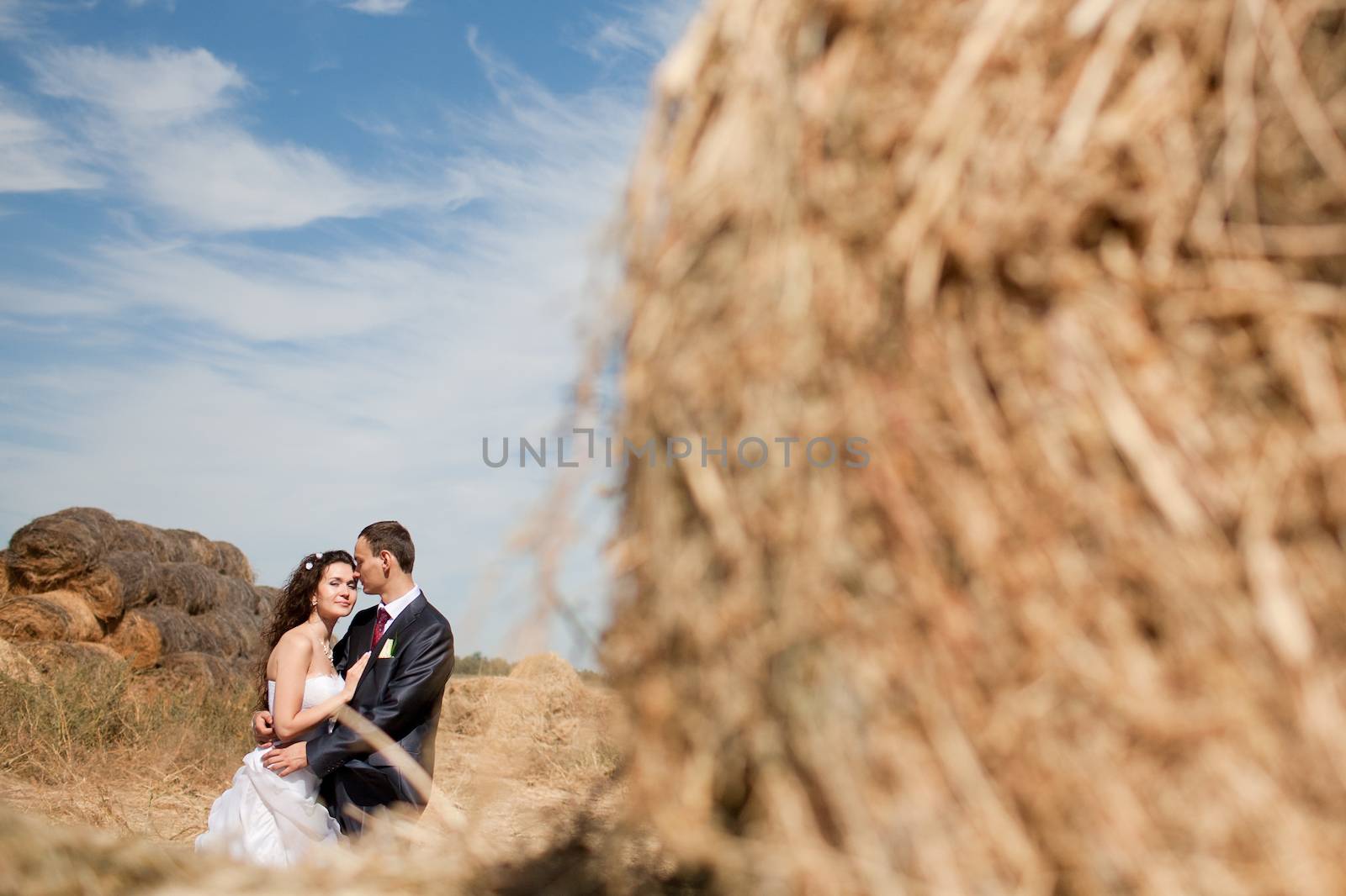 couple near the hay by vsurkov