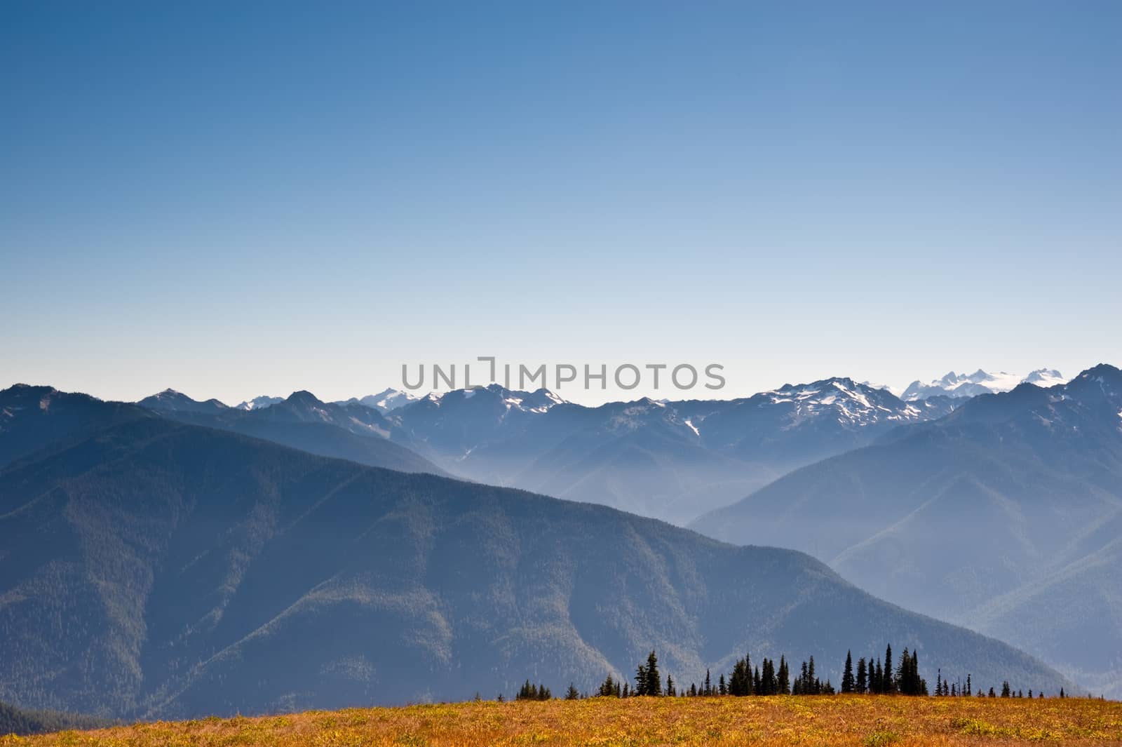 Hurricane Ridge in the Olympic Peninsula