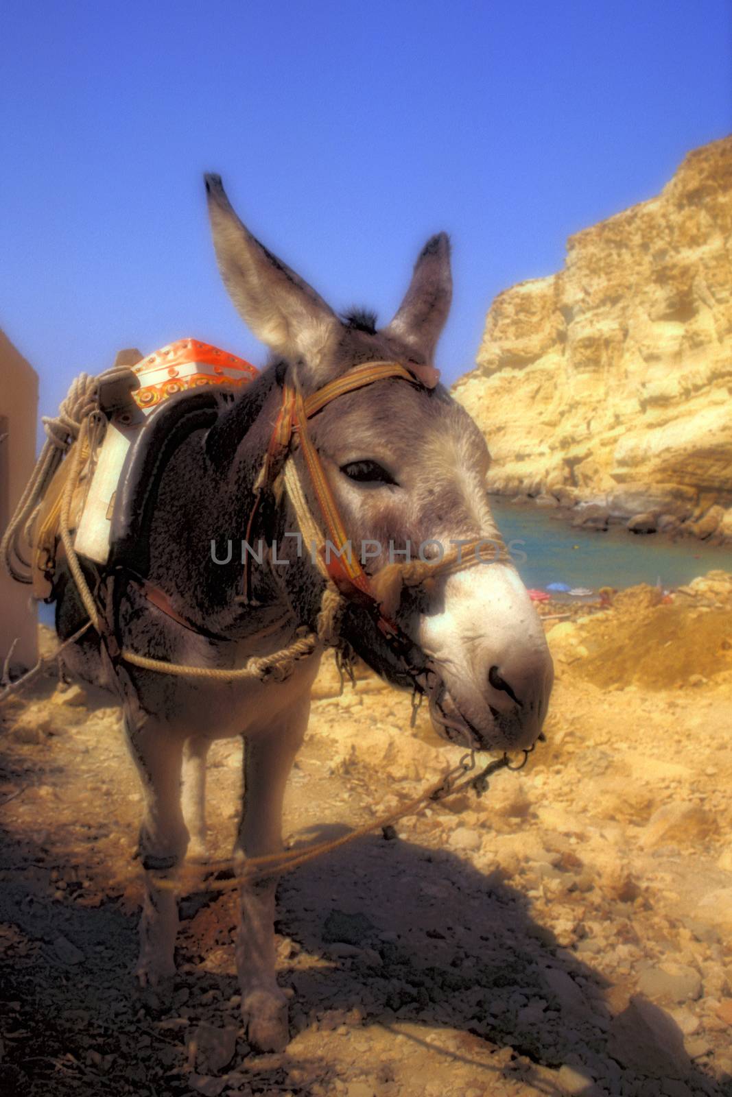 Scene in Crete 1991
