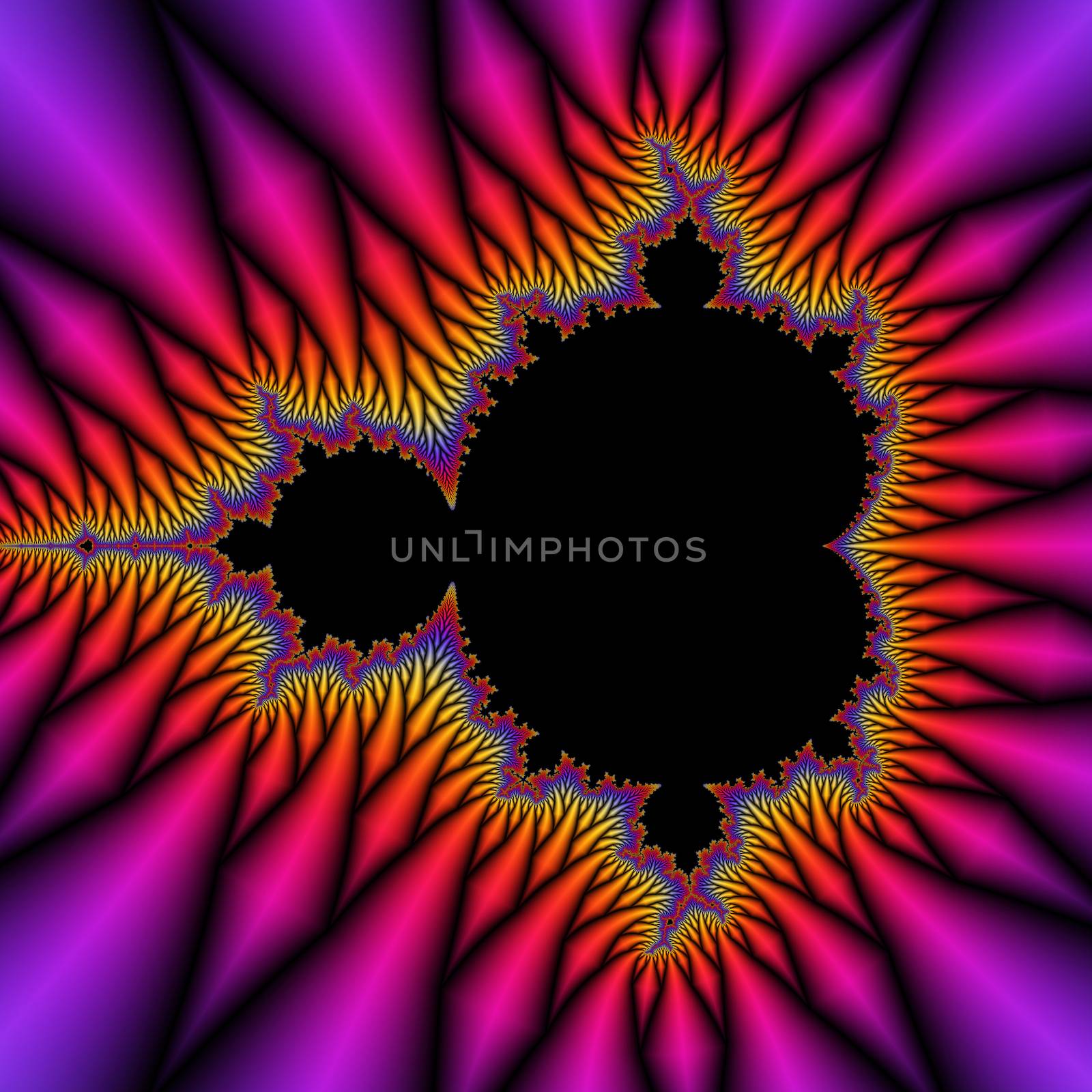 Digital visualization of a fractal