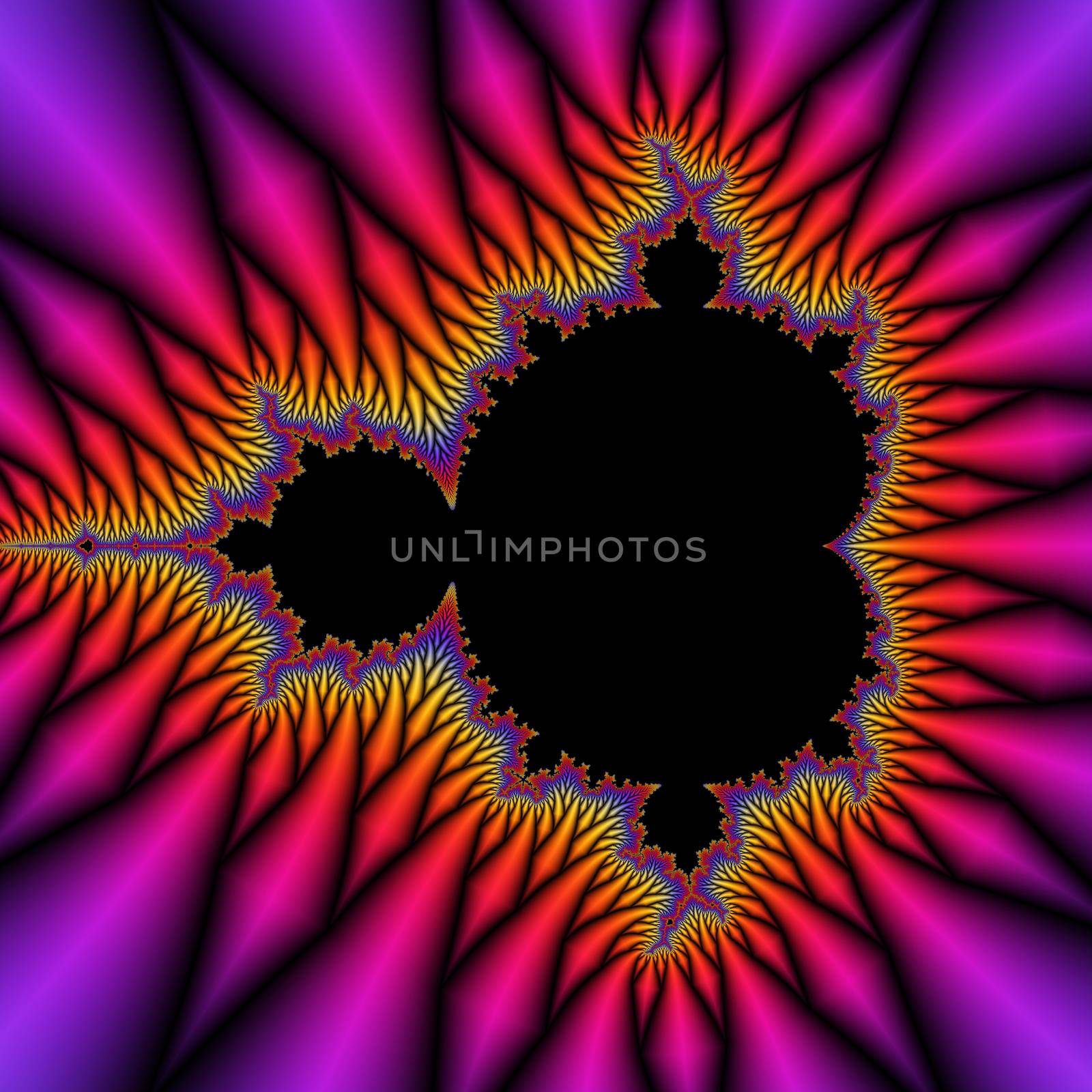 Digital visualization of a fractal