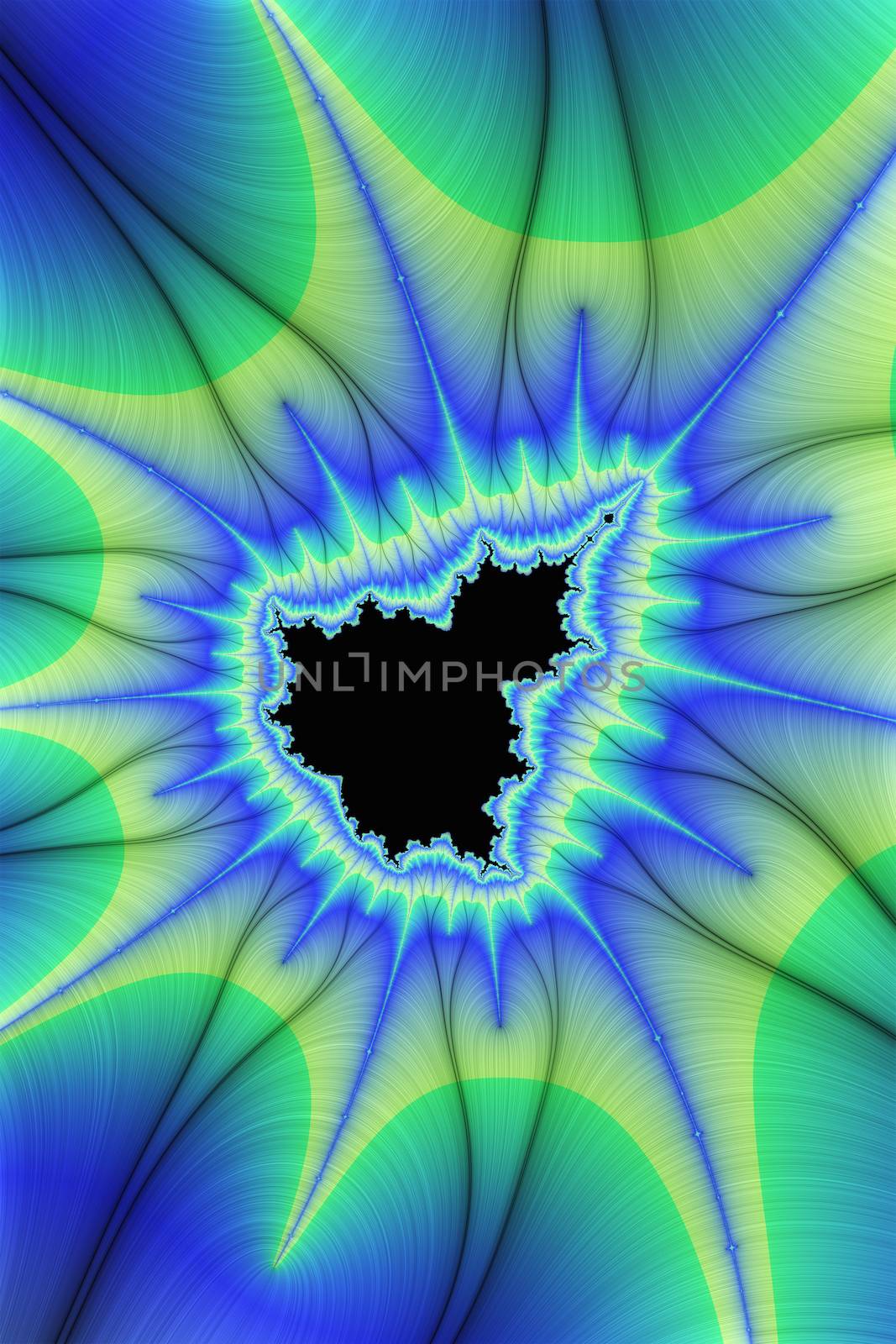 Digital visualization of a fractal