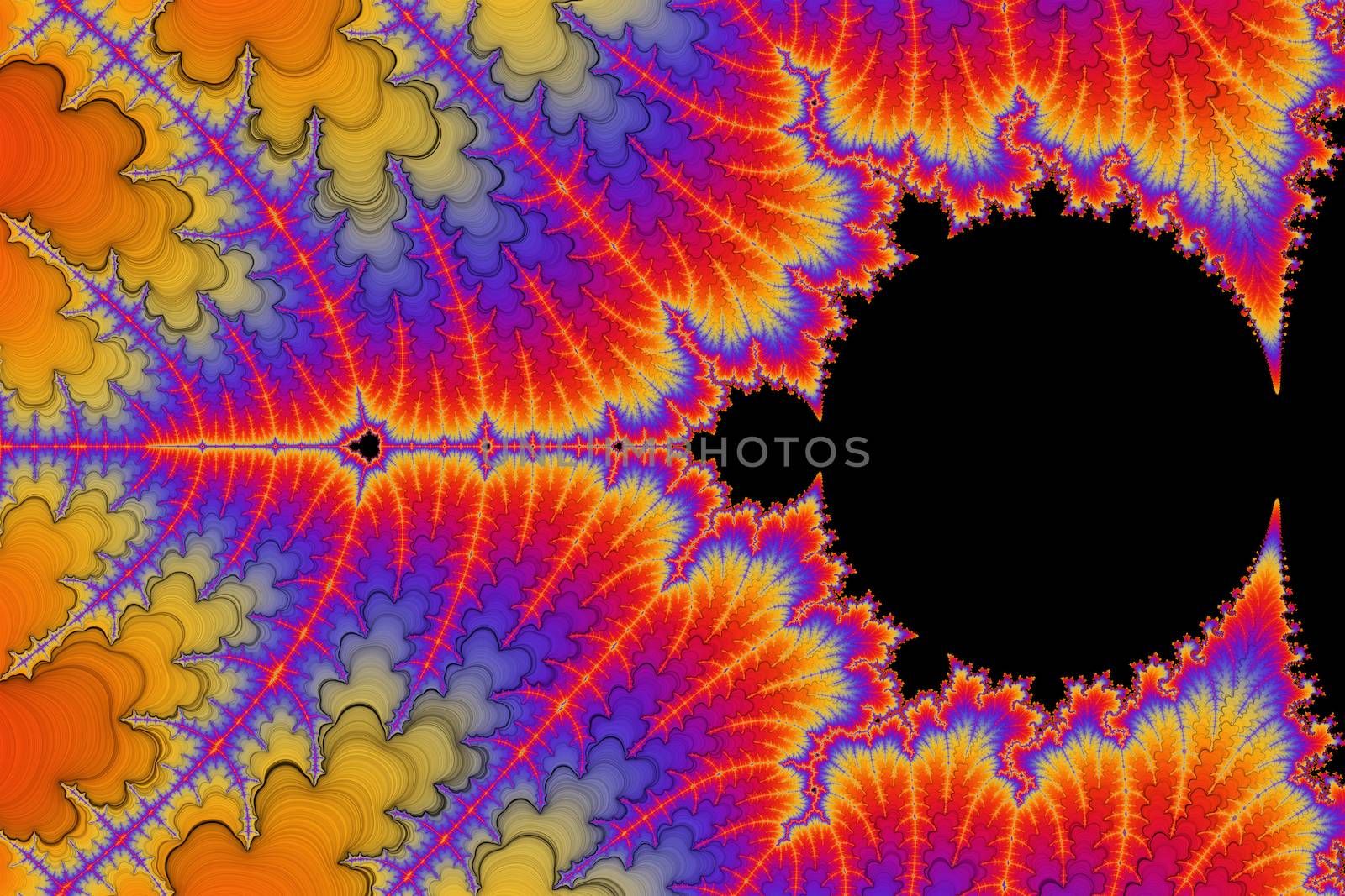 Digital visualization of a fractal