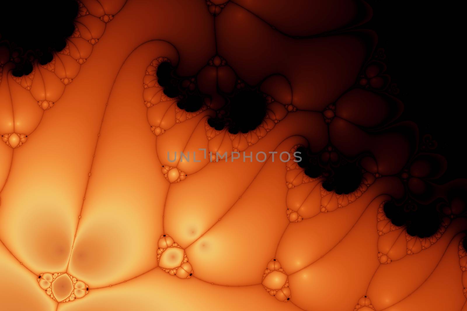 Digital visualization of a fractal