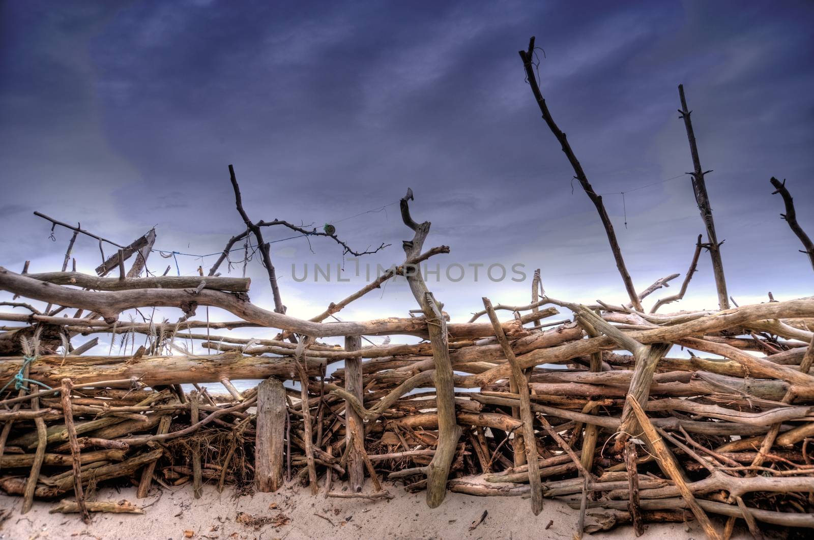 Coastal Landscape of the Baltic Sea of Darss in Germany, HDR