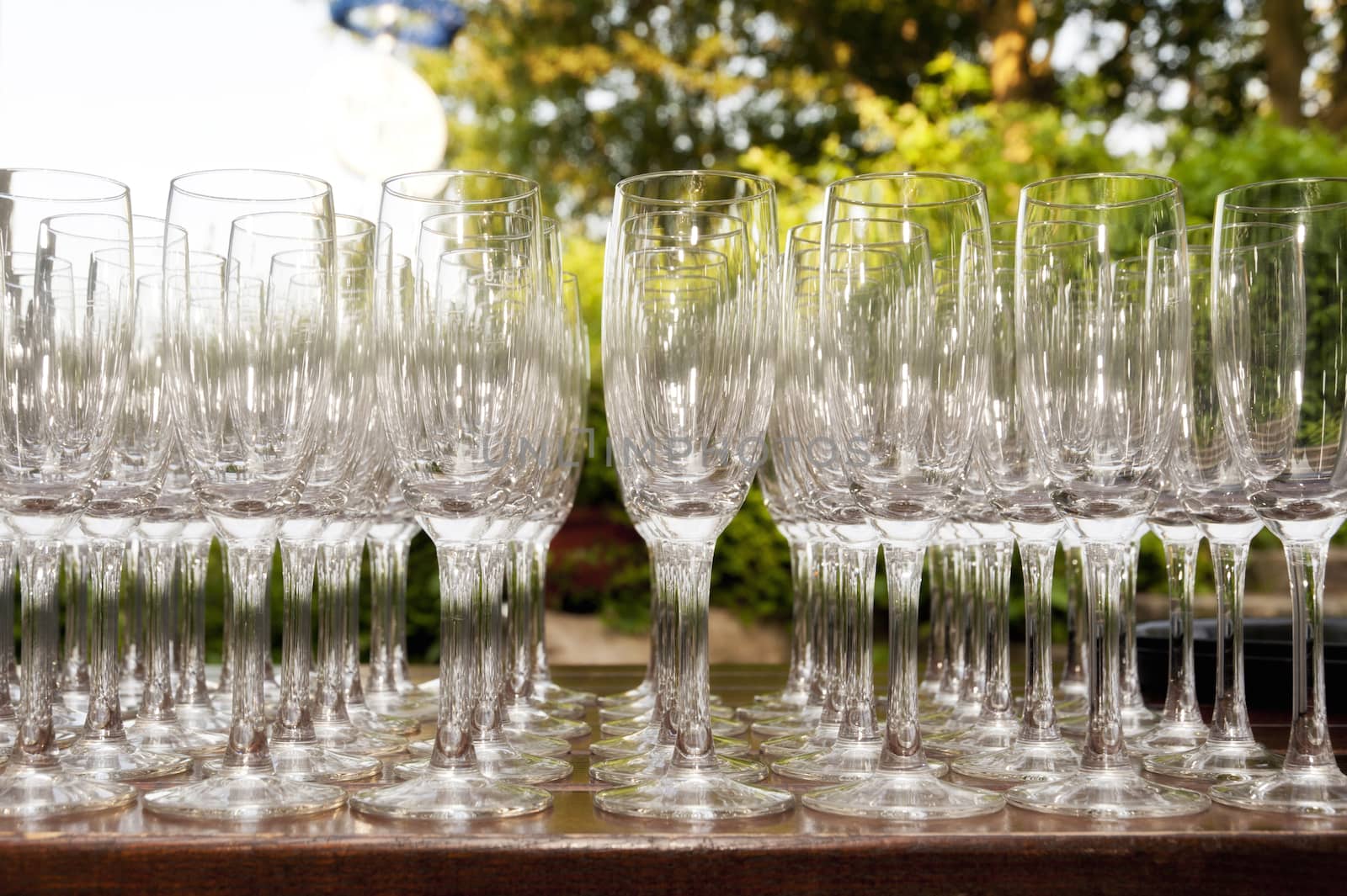 Detail of Champagne Glasses on a Plate