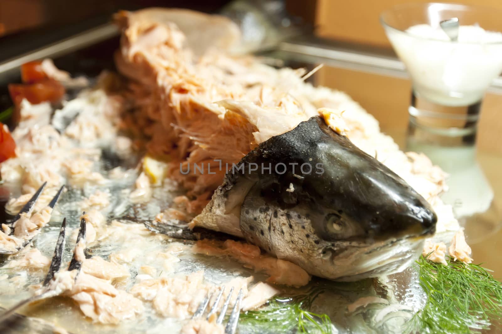 Detail of a poached Salmon