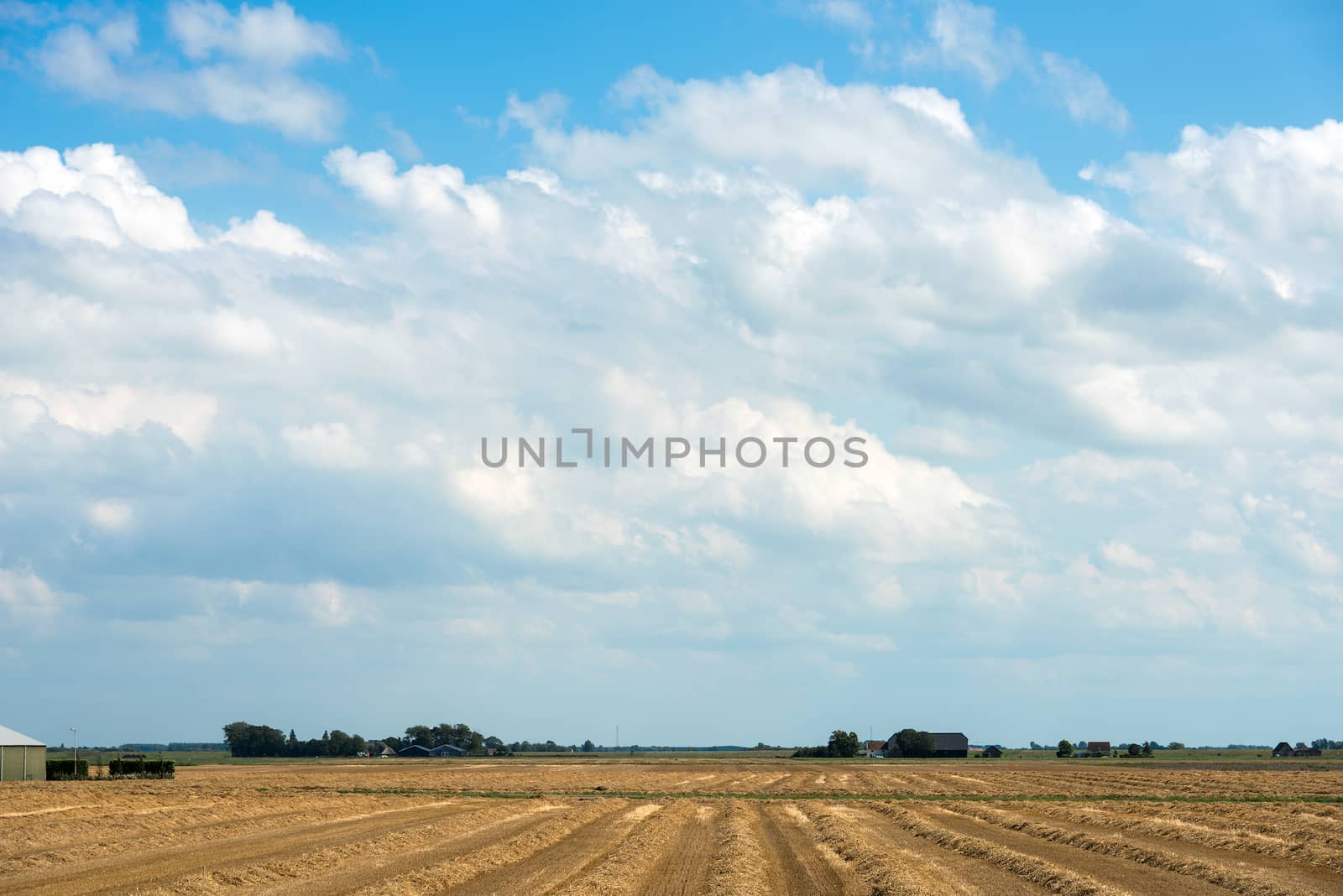 farm field in holland by compuinfoto