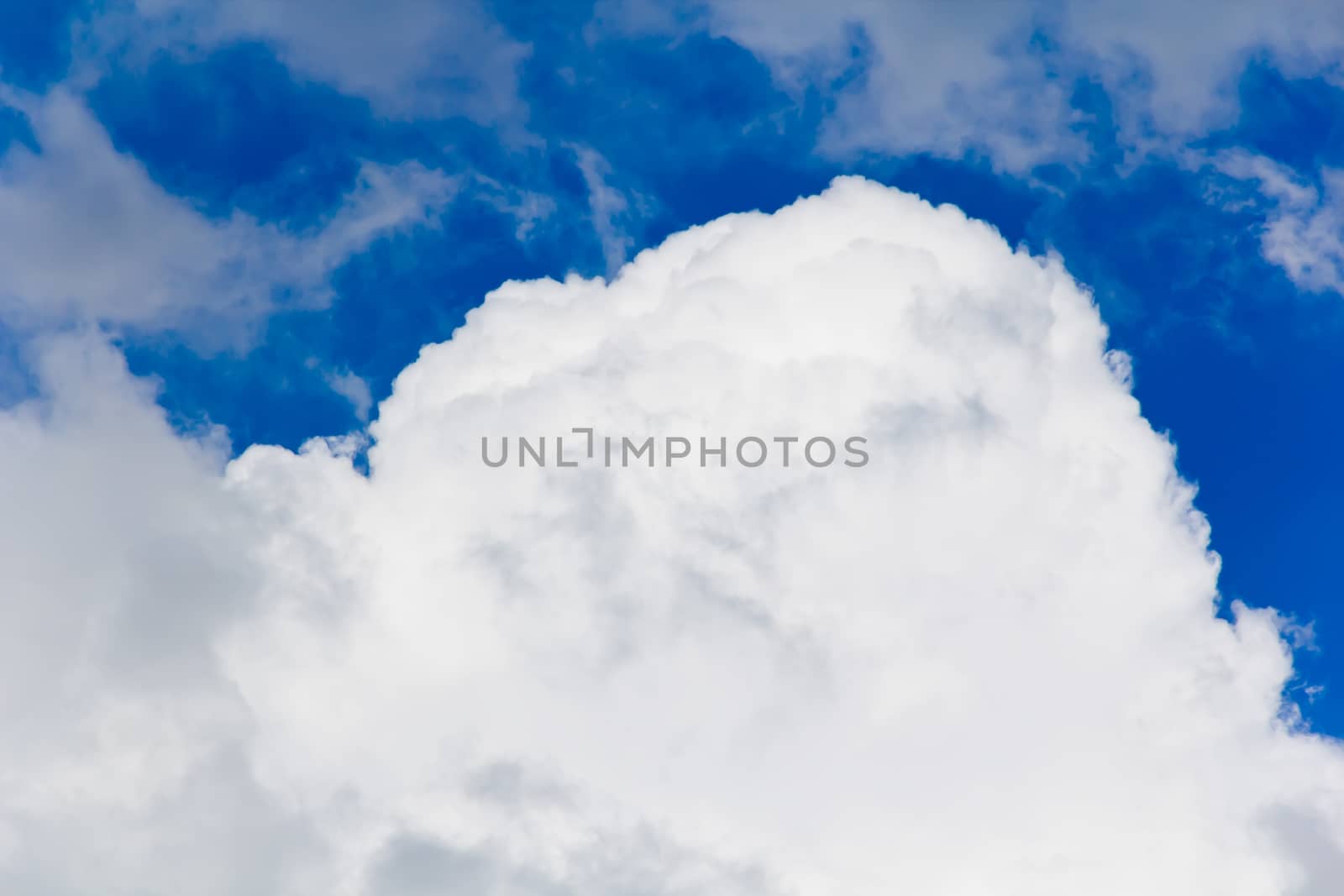 Photo of the blue day summer fluffy sky