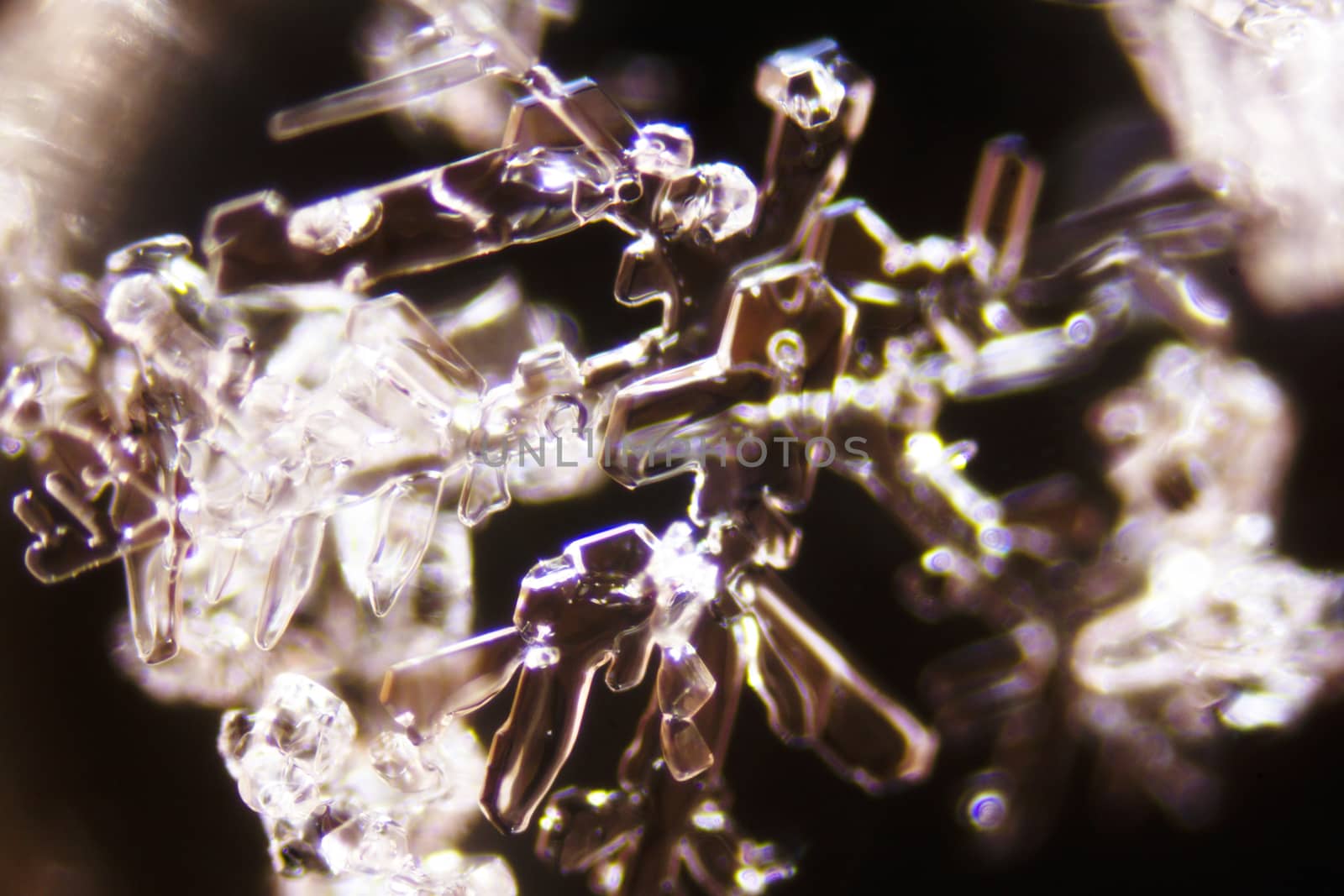 Micro Photo of Snow Crystals