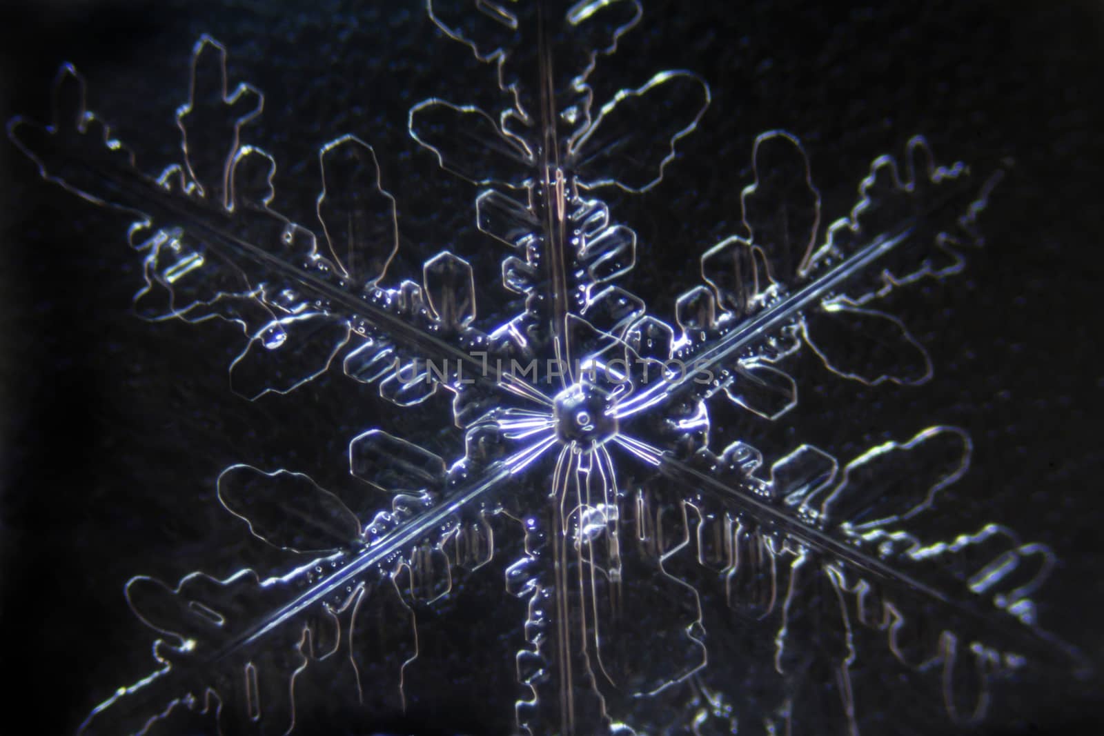 Micro Photo of Snow Crystals