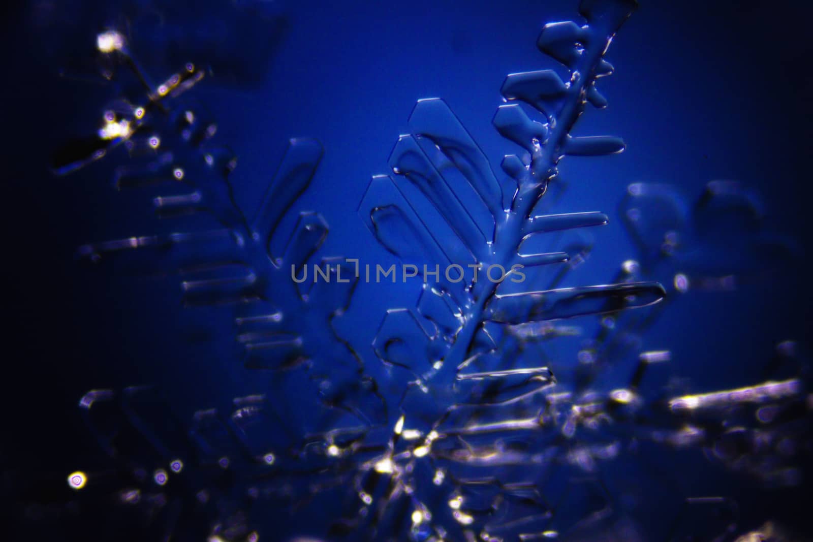 Micro Photo of Snow Crystals