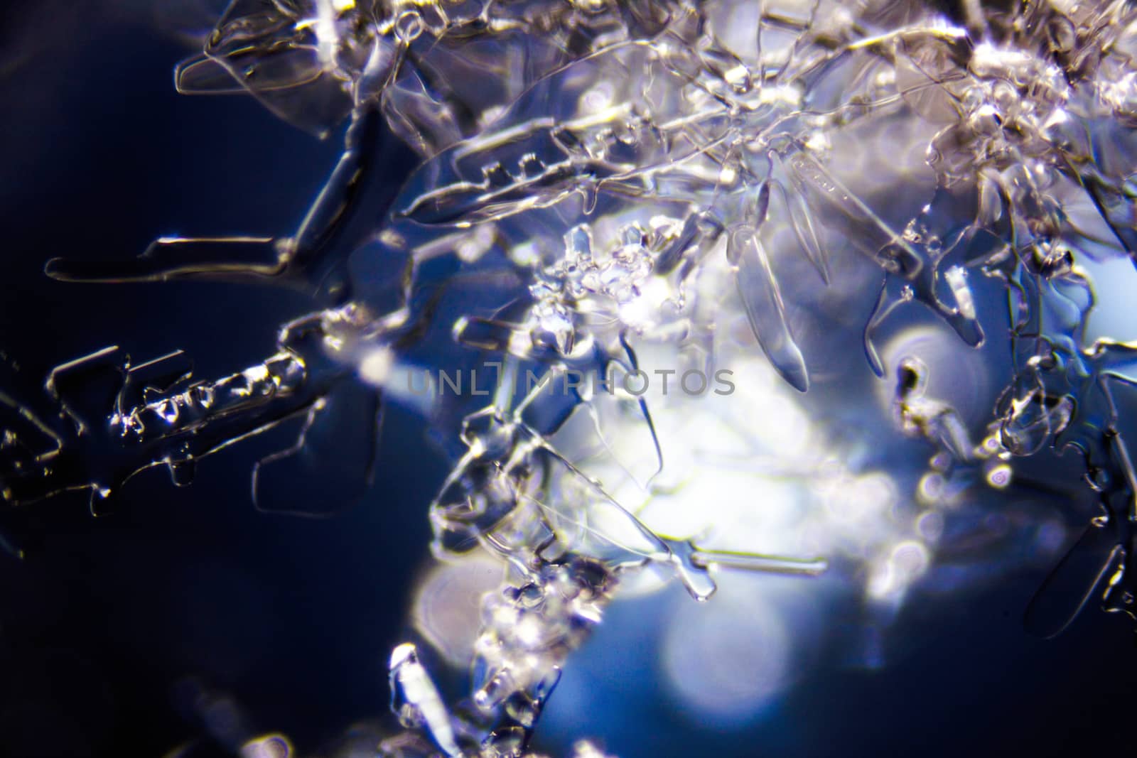 Micro Photo of Snow Crystals