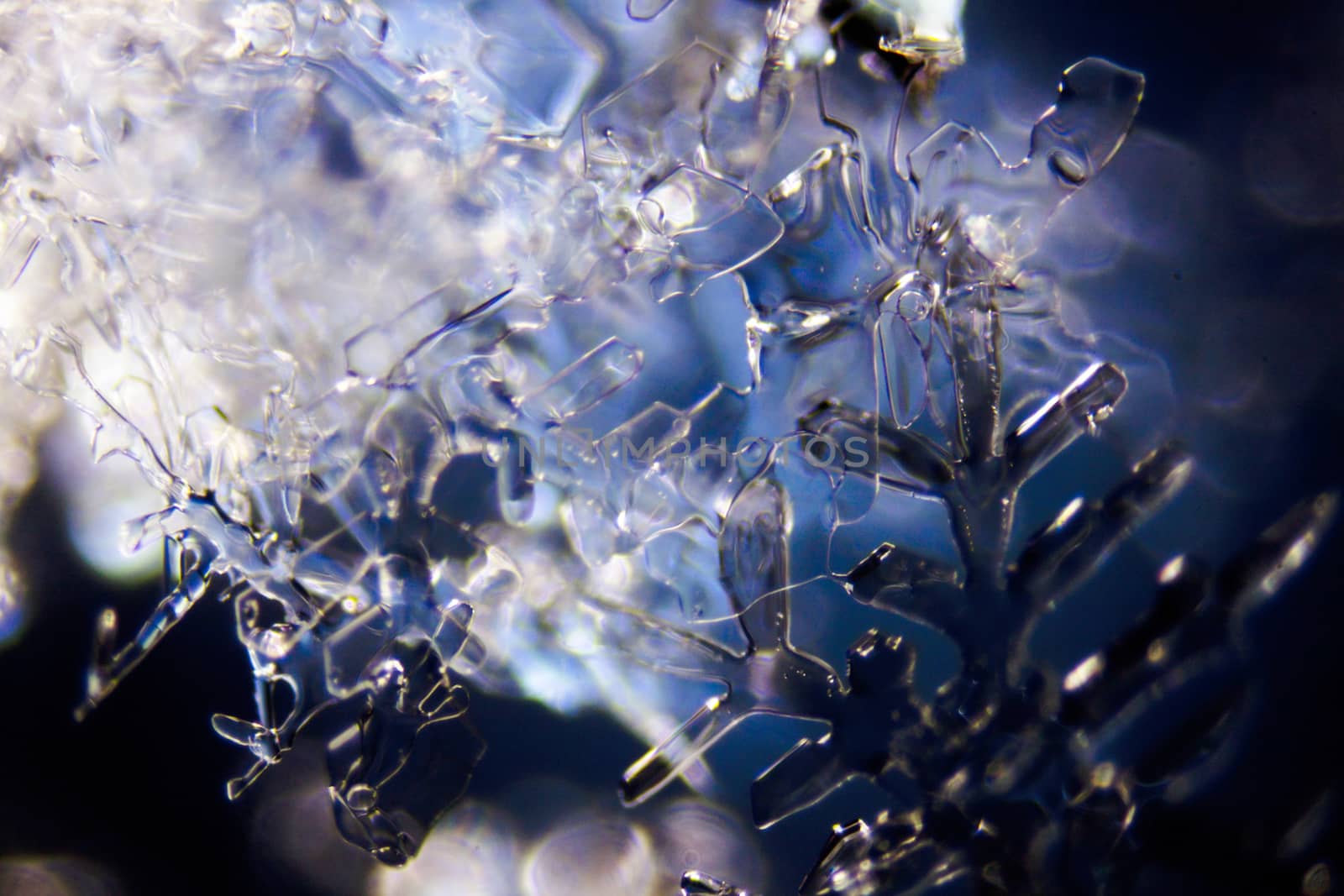 Micro Photo of Snow Crystals
