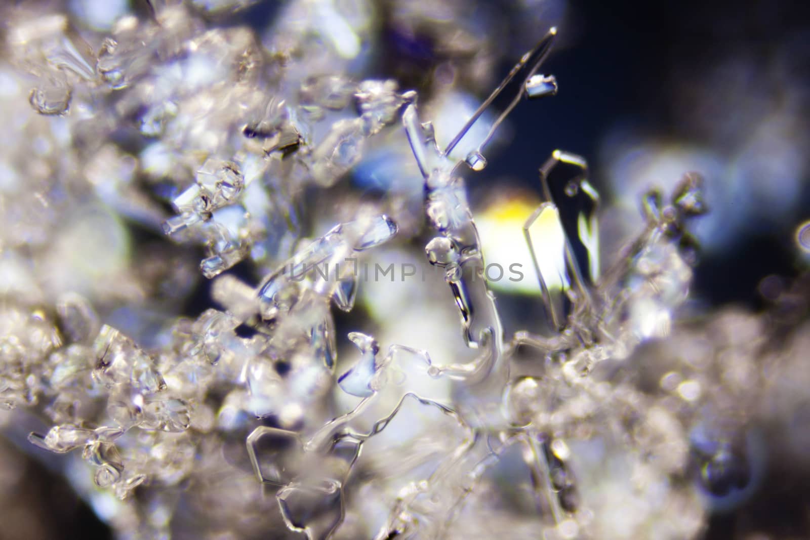 Micro Photo of Snow Crystals