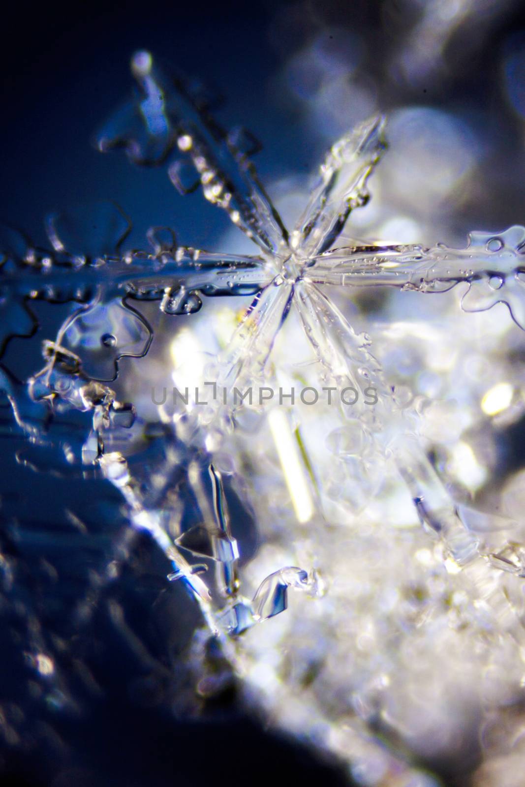 Micro Photo of Snow Crystals