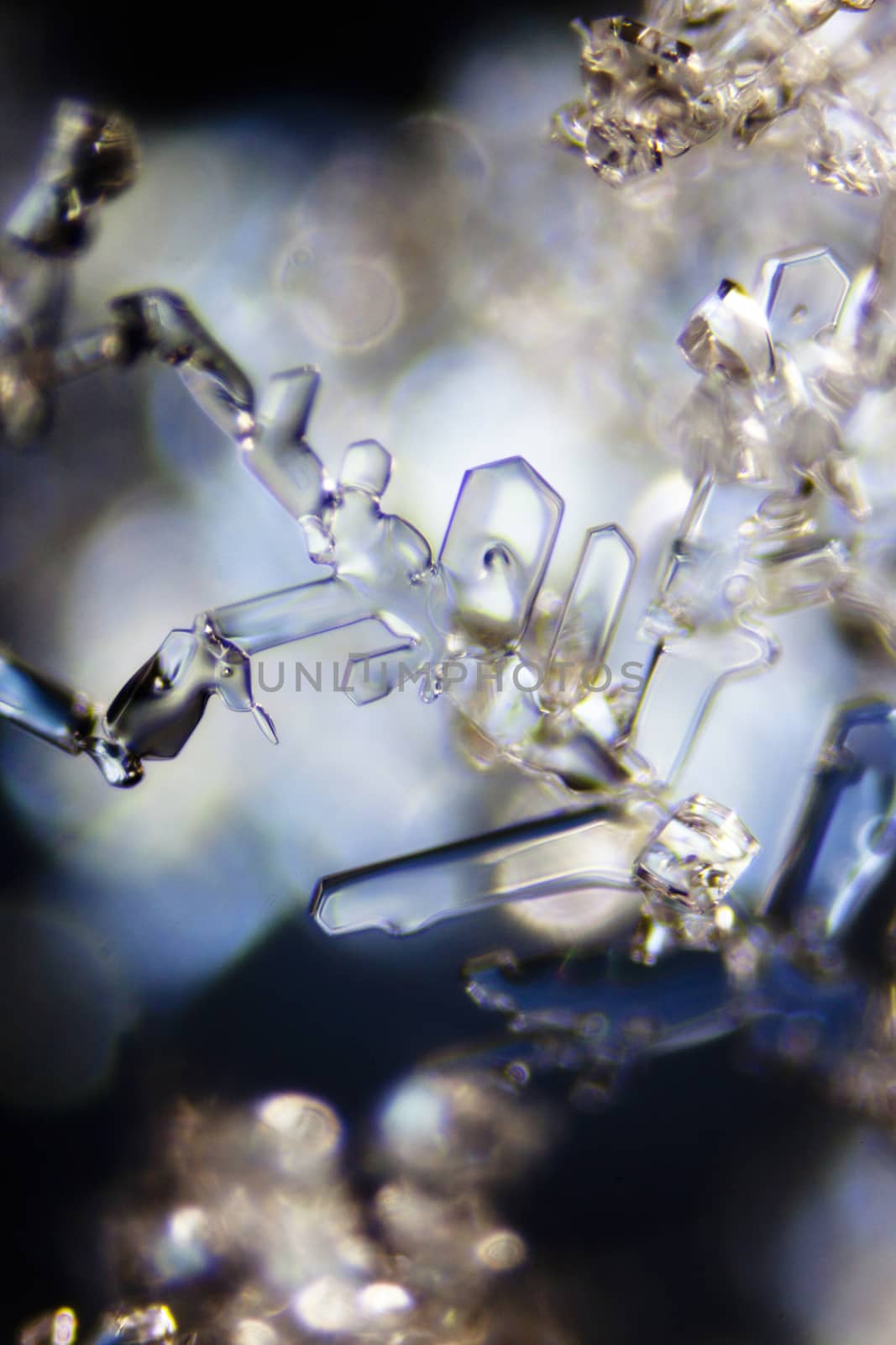 Micro Photo of Snow Crystals