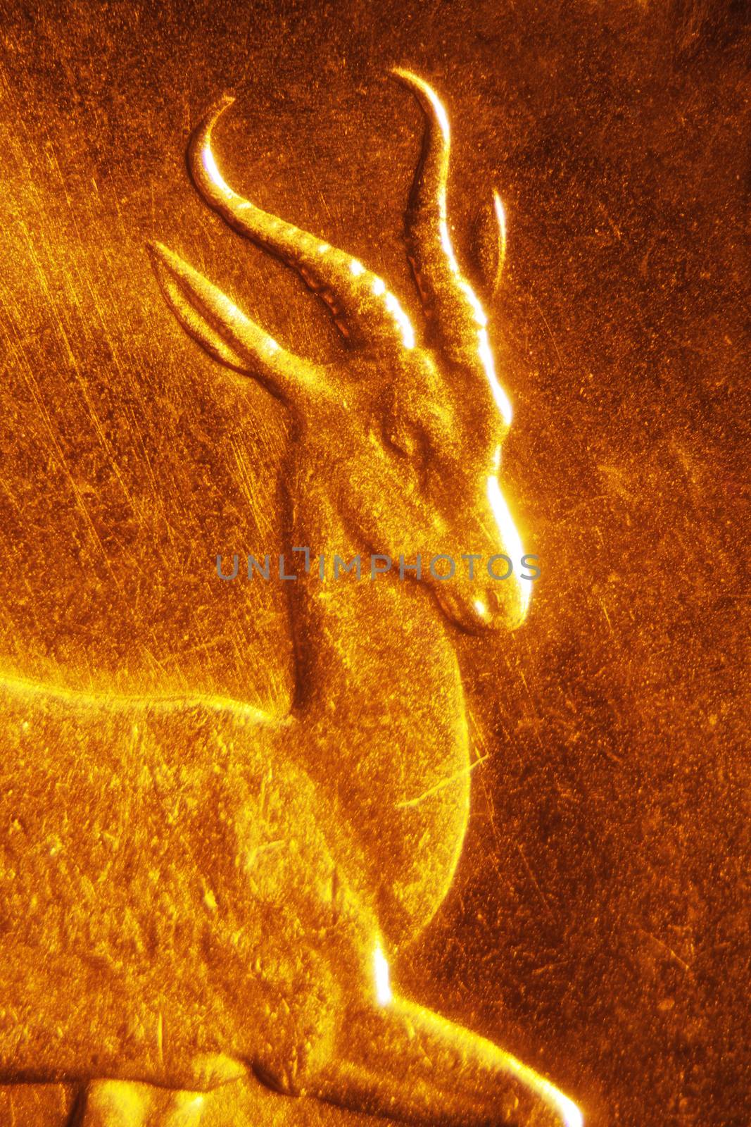 Micro Photo of a Gold Coin