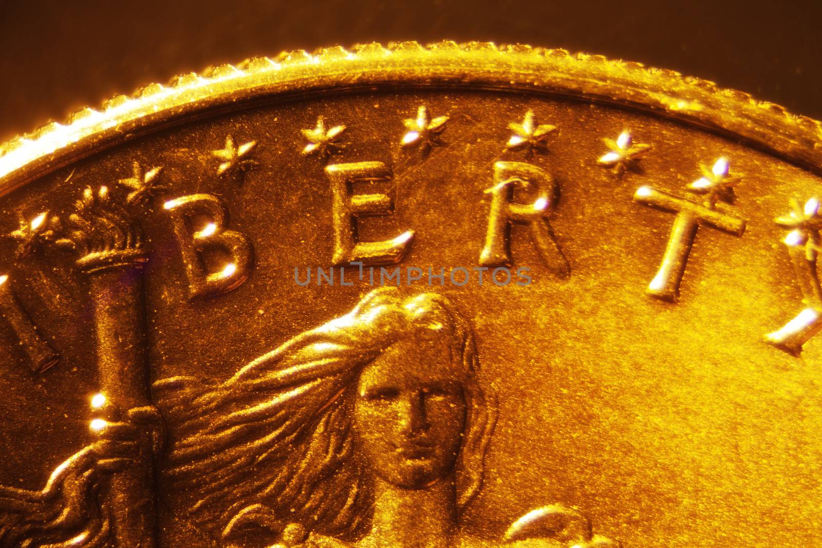 Micro Photo of a Gold Coin