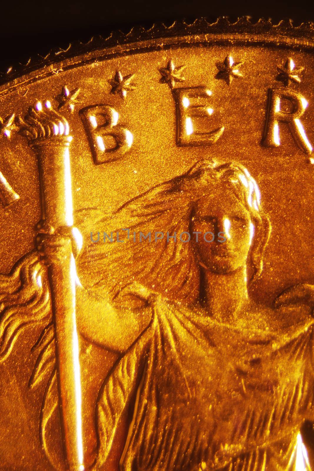 Micro Photo of a Gold Coin