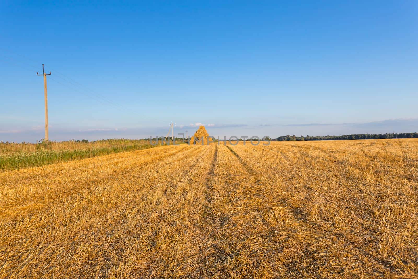 Piled hay bales on a field against blue sky at sunset time