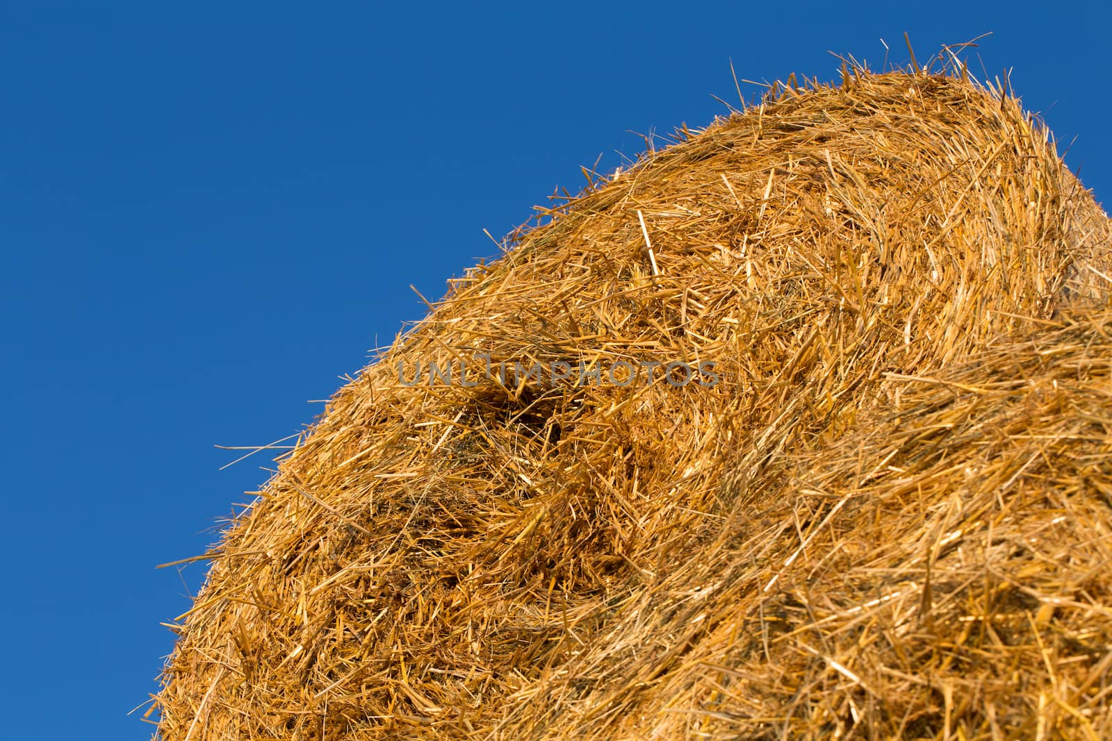 Piled hay bales on a field against blue sky at sunset time