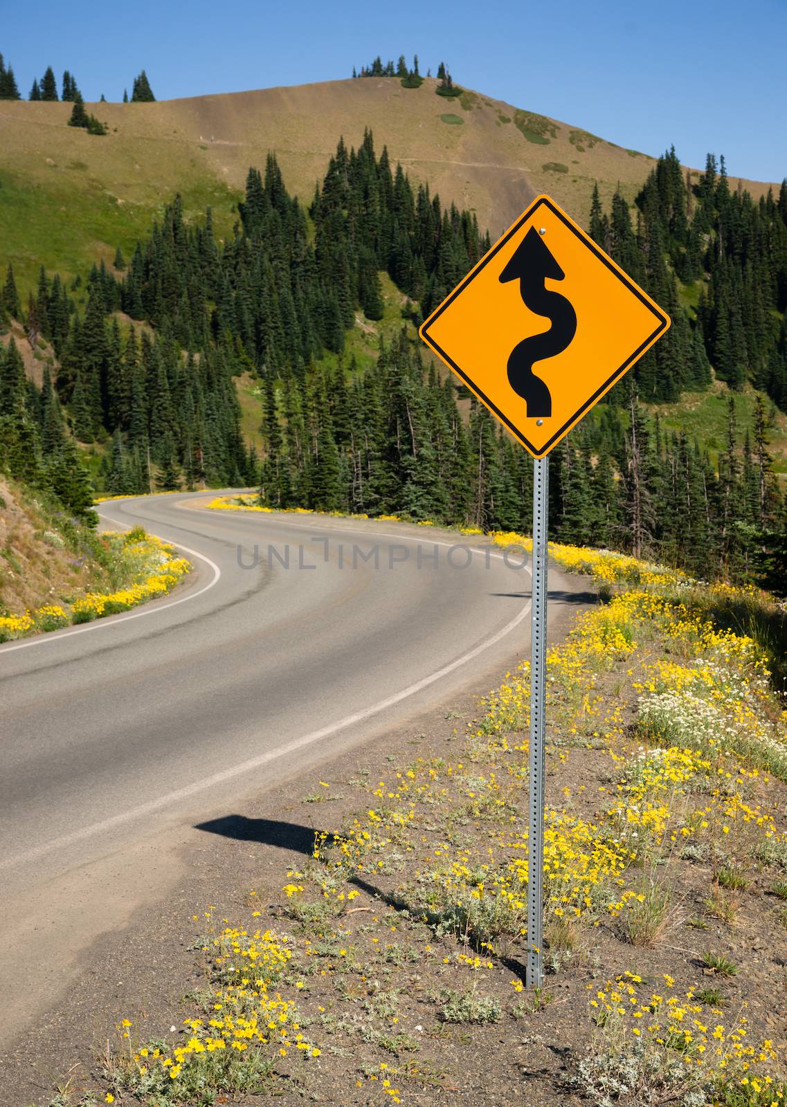 Road Sign Indicates Curves Ahead Mountain Landscape by ChrisBoswell