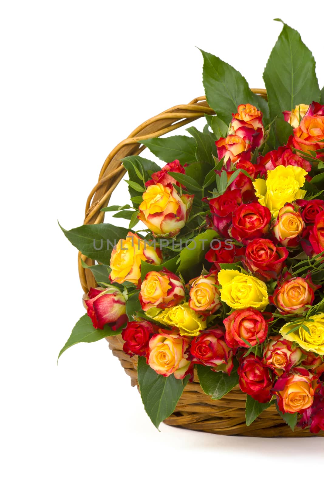 A bouquet of multicolored roses in a basket