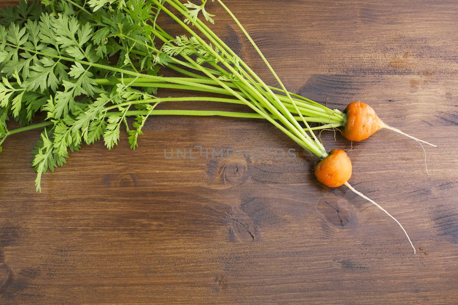 Round romeo carrots just harvested on a wooden table.