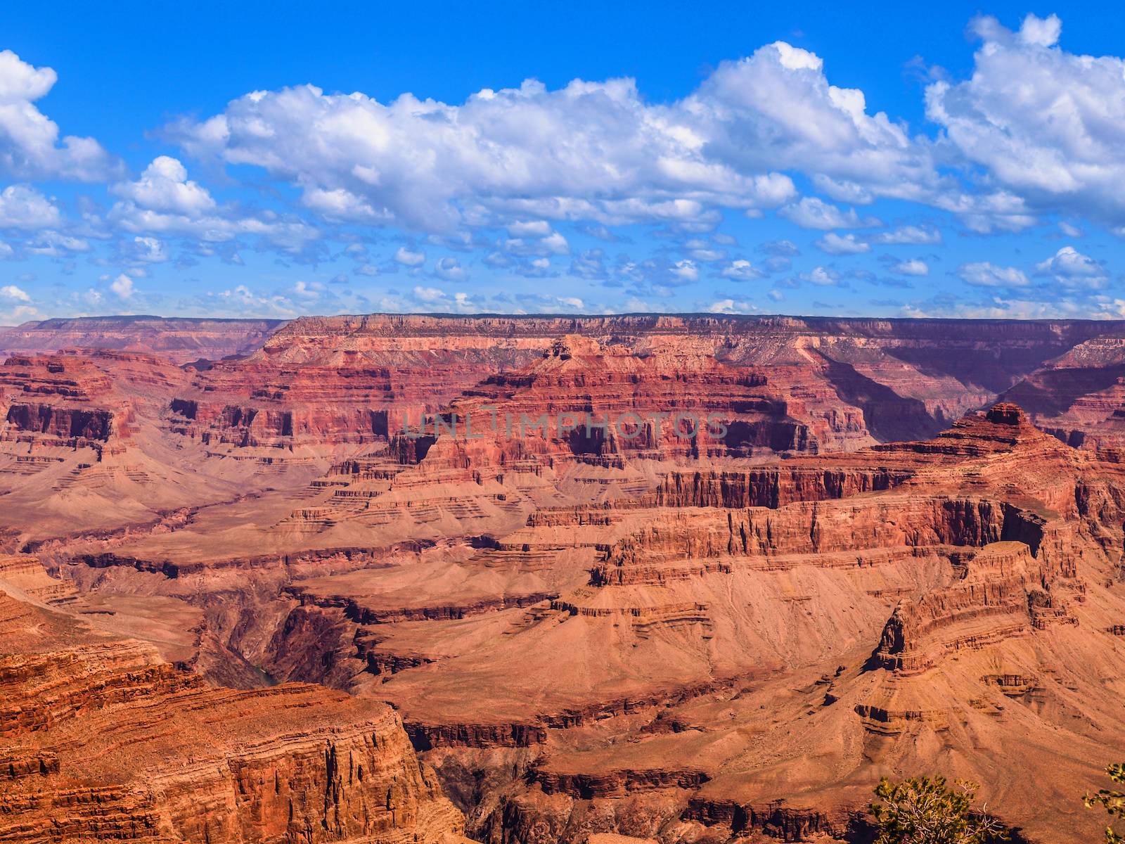 Red rocks of Grand Canyon by pyty