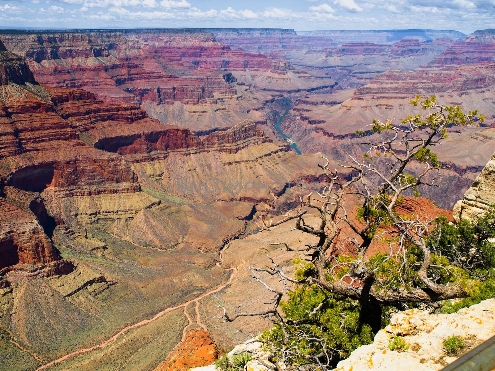 Grand Canyon of river Colorado (Arizona, USA)