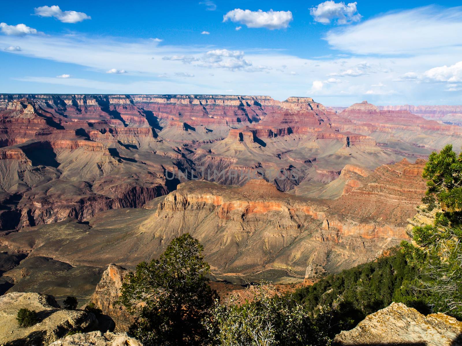 Red rocks of Grand Canyon by pyty