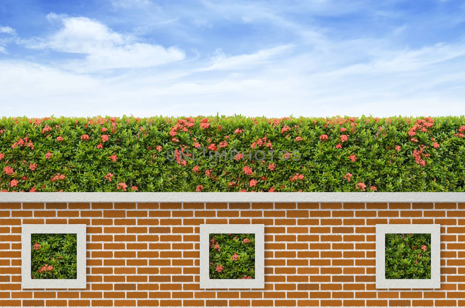 shrubs and brick fence on blue sky background