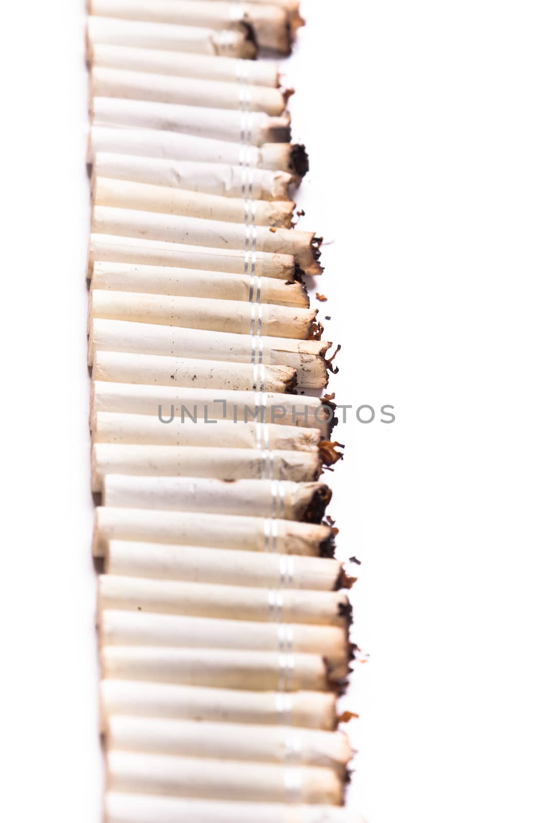 A line made of cigarette filters