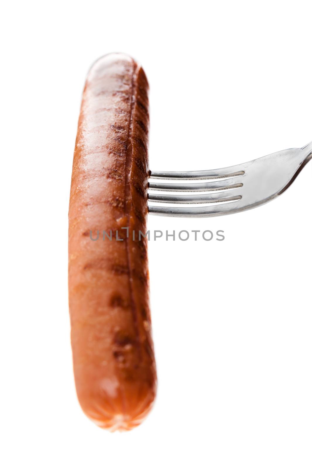 Sausage on white background by dario_lo_presti