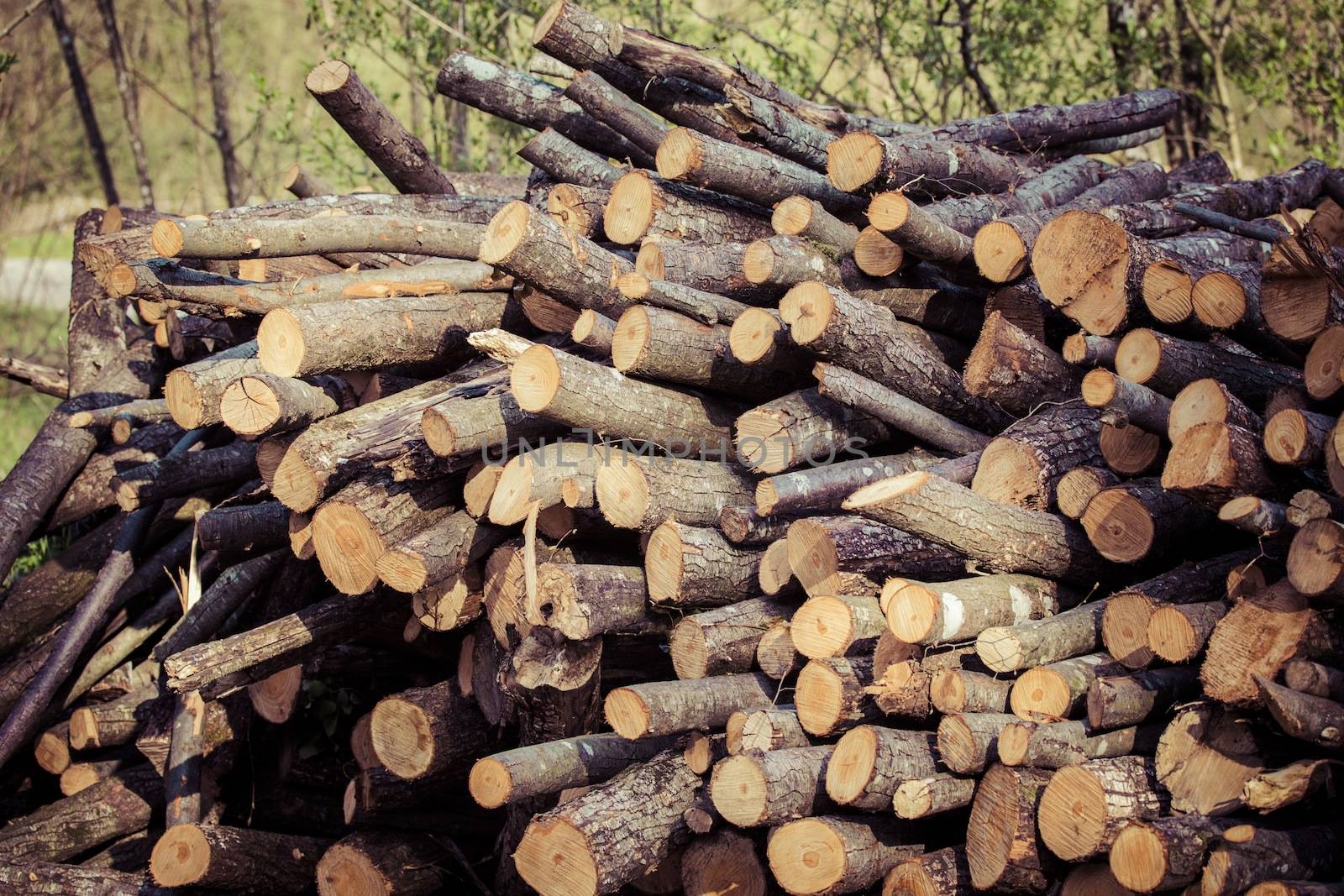 Picture of a pile of fire wood in daylight