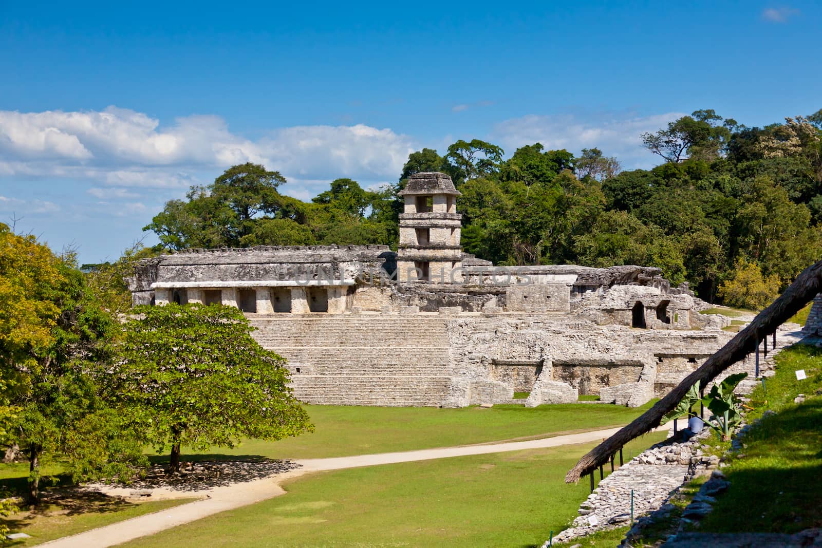 Mayan Temple of Palenque by dario_lo_presti