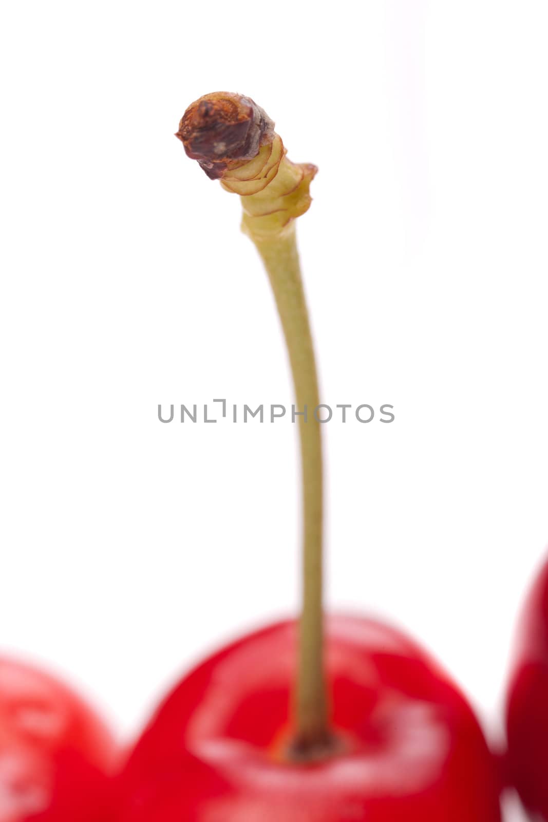 Cherry Macro shot by dario_lo_presti
