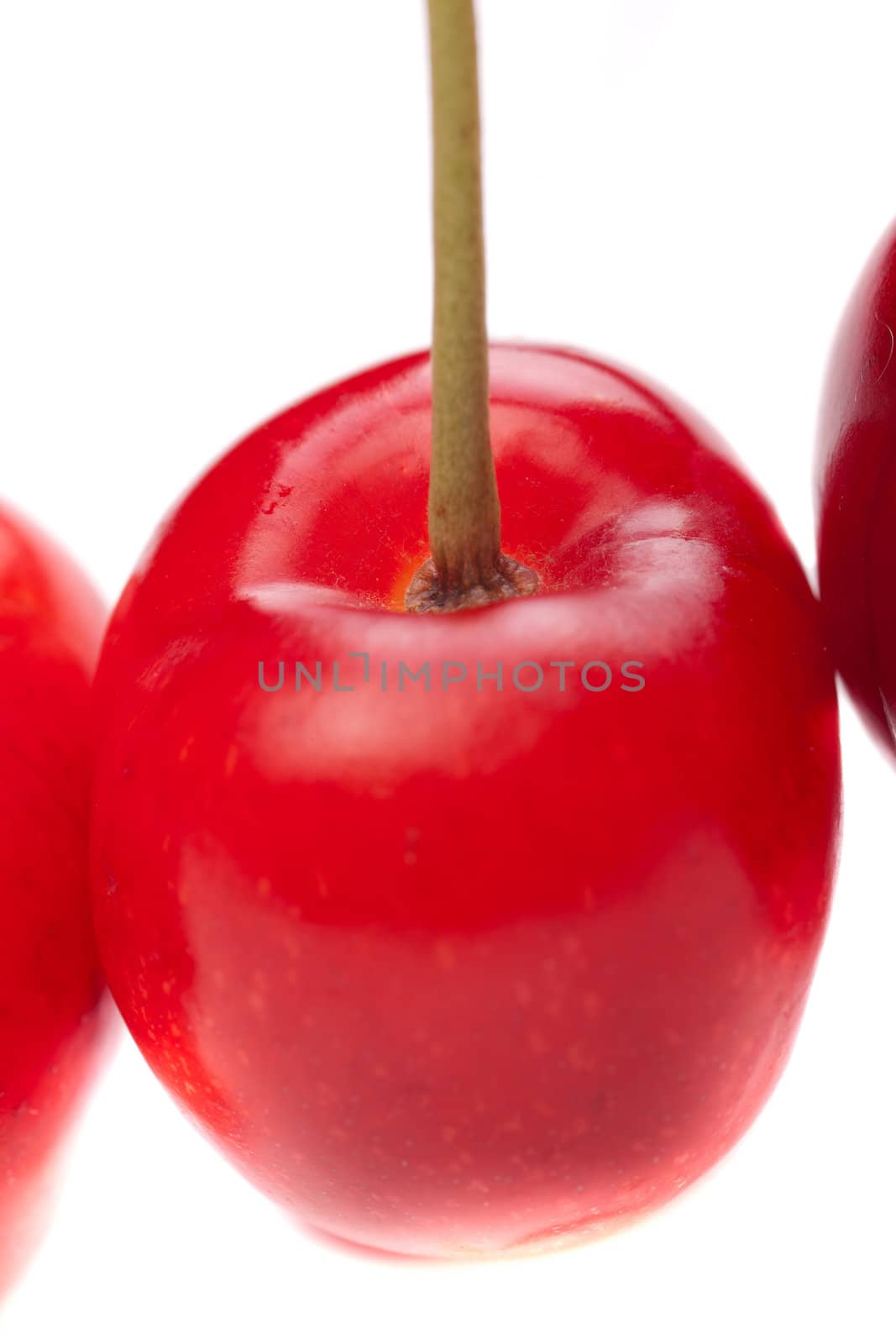 Cherry close-up by dario_lo_presti