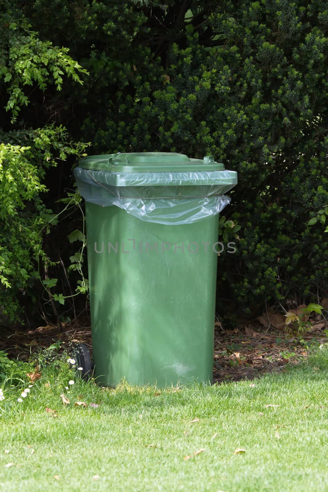 Green trash can on the grass next to bushes